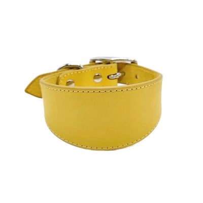 Collier Cuir Large Anti-Traction pour Grand Chien