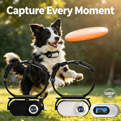 Caméra pour Chien Rotation 360° Grand Angle 120° Mini