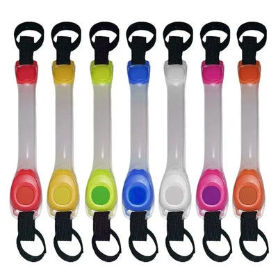 Collier Lumineux Étanche Anti-Perte pour Chien