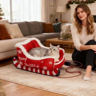 Panier Traîneau de Noël Chien Petit Format