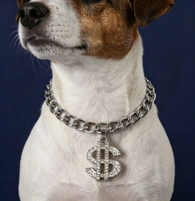 Collier Chaîne Cubaine Dorée Gros Chien