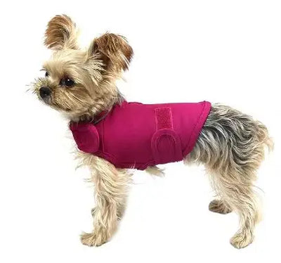 Vêtement Apaisant Anti-Anxiété Réglable Col Amovible Chien Voyage