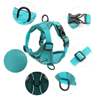 https://cdn.shopify.com/s/files/1/0489/2898/1148/files/S4b7c8c9b7996432dbb6e24c1a8020a97C.webp?v=1742913982