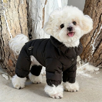 Combinaison Imperméable Matelassée Petit Moyen Chien