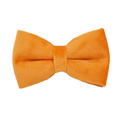Collier et Laisse Velours Orange Personnalisé Chien