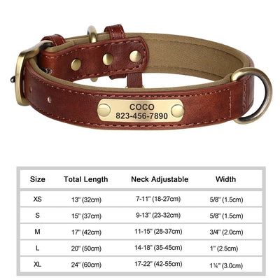 Collier Cuir Personnalisé Gravure Gros Chien