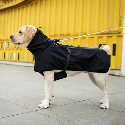 Manteau Imperméable Chien Poncho Capuche Grande Taille