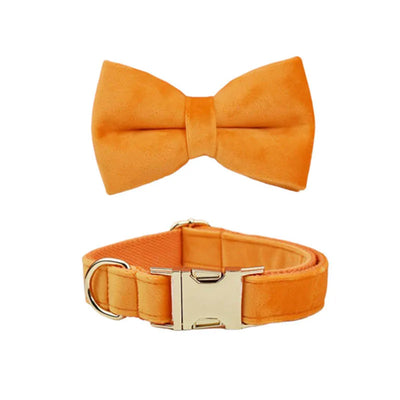 Collier et Laisse Velours Orange Personnalisé Chien