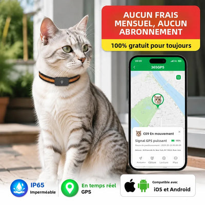 Collier GPS 4G Chien Clôture Virtuelle jusqu'à 54 kg