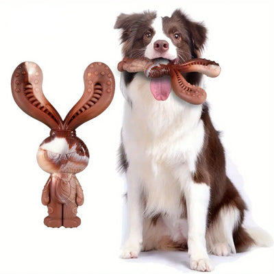 Jouet Nylon Indestructible Mâcher Gros Chien
