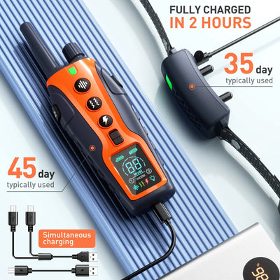 Collier Dressage 1000m 2 Chiens Lampe LED