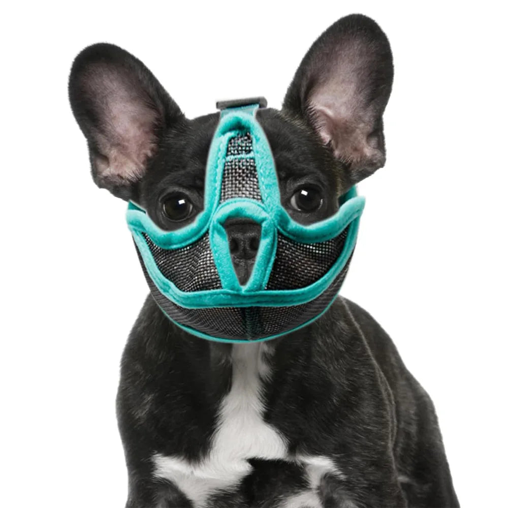 Muselière Chien Bouledogue Français Filet Bord Doux