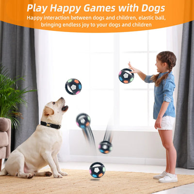 Balle Tennis Football Couineuse Gros Chien
