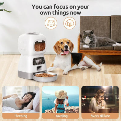 Distributeur de Croquettes WiFi 3,5 L Enregistreur Vocal