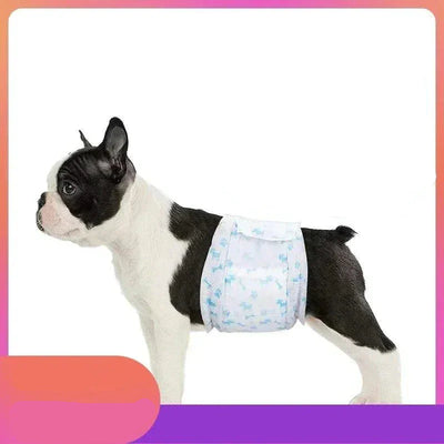 https://cdn.shopify.com/s/files/1/0489/2898/1148/files/S4dd972ea60414ec2a8b209138111d6762.webp?v=1773396038