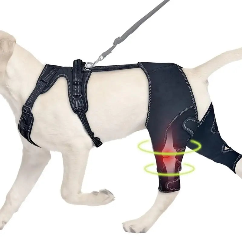 Attelle pour Chien Genouillère Double Pattes Arrière Réglable