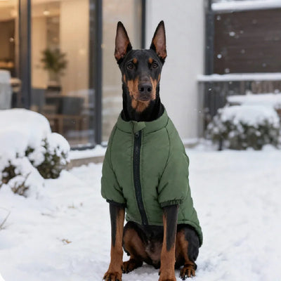 Manteau Polaire Chaud Grand Chien Husky Labrador