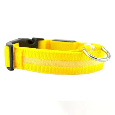 Collier LED Veilleuse Rechargeable pour Chien