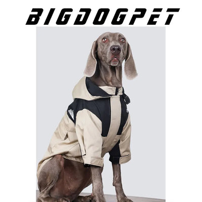 Manteau Imperméable à Capuche Zippé Gros Chien