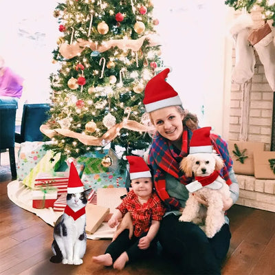 Chapeau et Écharpe de Père Noël pour Chien