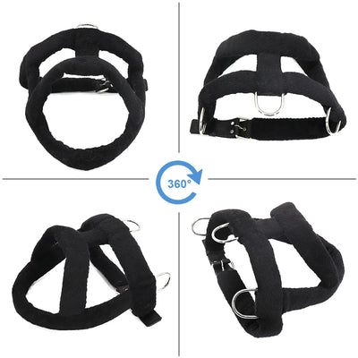 Harnais de Traction de Poids Rembourré pour Husky