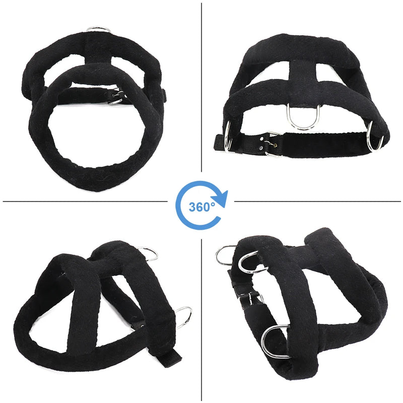 Harnais de Traction de Poids Rembourré pour Husky