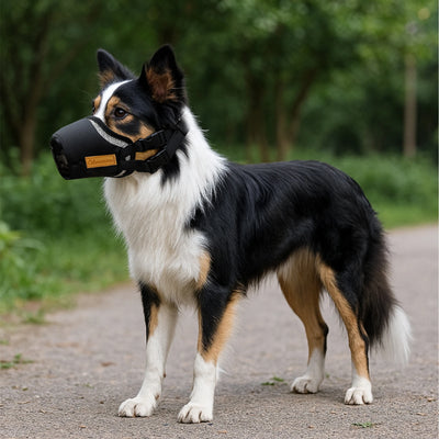 Muselière Chien Tissu Embout Filet Border Collie