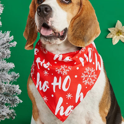 Bandana de Noël Triangulaire pour Chien