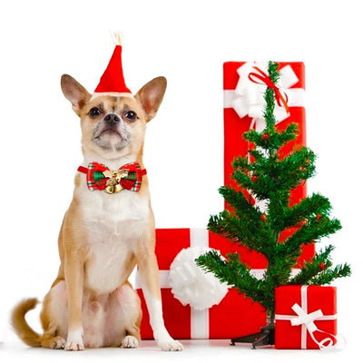 Nœuds Papillon de Noël à Clochette pour Chien