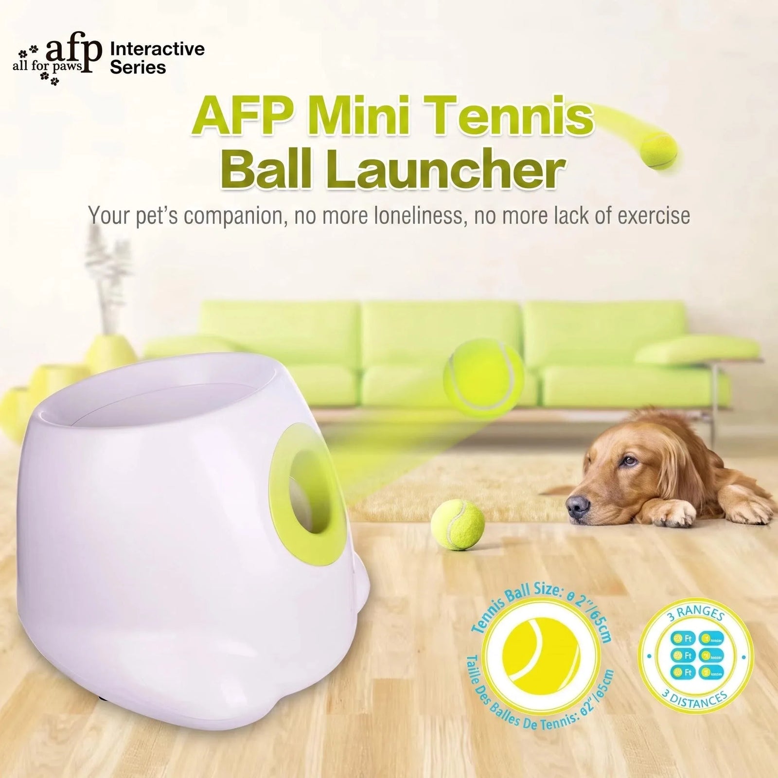Lanceur de Balle Automatique Chien Mini Rechargeable USB-C