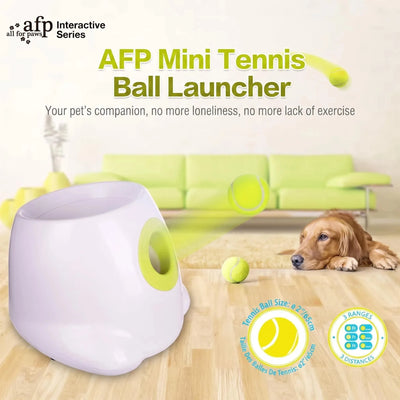 Lanceur de Balle Automatique Chien Mini Rechargeable USB-C