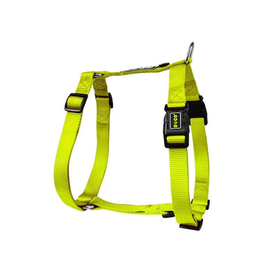 Harnais Chien en H Nylon Réglable Moyen et Grand
