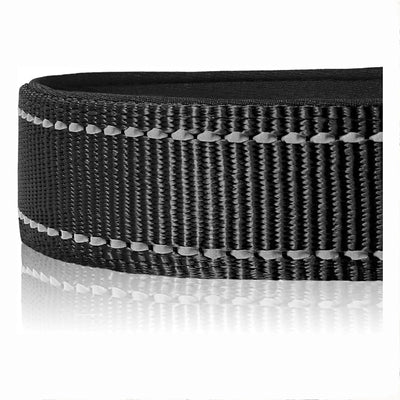 Collier Nylon Doux Réfléchissant pour Chien