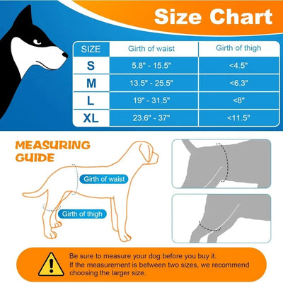 Orthèse Hanche Gros Chien Dysplasie Support