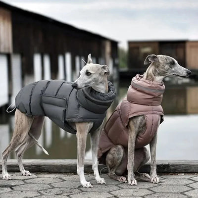 Manteau Imperméable Chaud pour Lévrier Réfléchissant