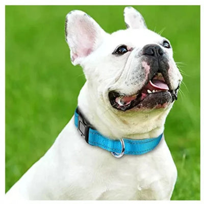 Collier Nylon Doux Réfléchissant pour Chien