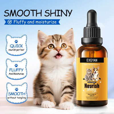 Huile Soin Pelage Chien Orange Douce et Jojoba 30 ml