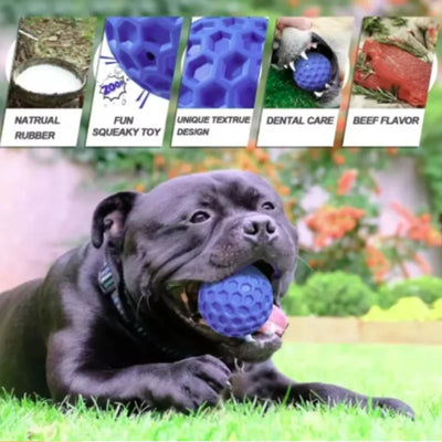 Jouet Indestructible Balle Sifflante Hexagonale à Mâcher S ou L