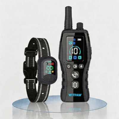 Collier Électrique de Dressage Télécommande 1500 m Chien