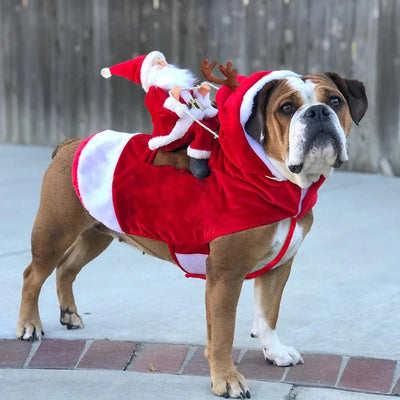 Costume de Fêtes de Noël pour Chien