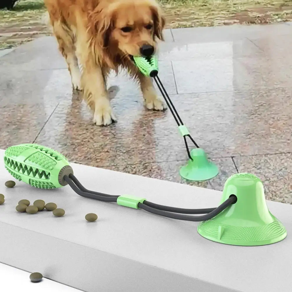Jouet Mâcher Distributeur Ventouse Gros Chien