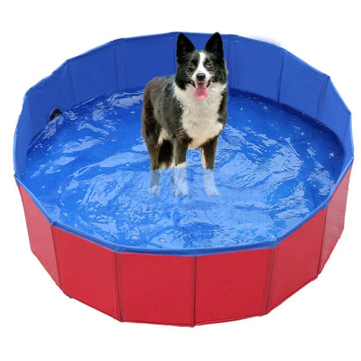 Piscine pour Chien 160 cm Pliable avec Vidange