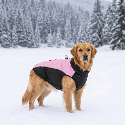 Manteau Chien Coupe-Vent Zippé Double Anneau Golden Retriever