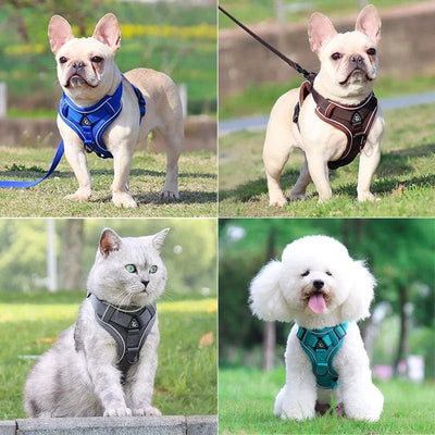 https://cdn.shopify.com/s/files/1/0489/2898/1148/files/S53314f3a8c774748bfecbe81584e91064.webp?v=1742914001