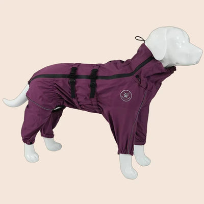 Manteau Pluie Réfléchissant Combinaison Gros Chien