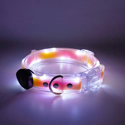 Collier et Laisse LED Lumineux pour Chien