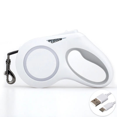 Laisse Rétractable LED 5m pour Chien
