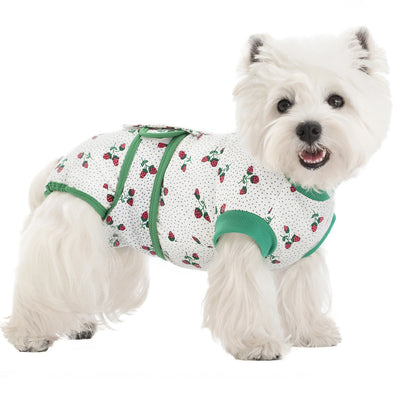 Body Post-Opératoire Chien Coton Imprimé Alternative Collerette