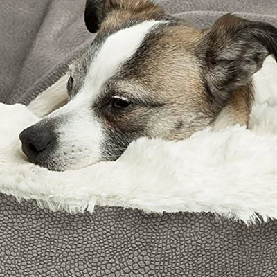 Panier Igloo Rond Cocon Douillet pour Petit Chien 50 et 60 cm