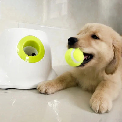 Lanceur de Balle Chien Automatique sur Secteur 3 Distances